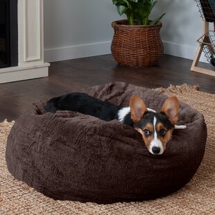 Burrow dog 2024 bed wayfair